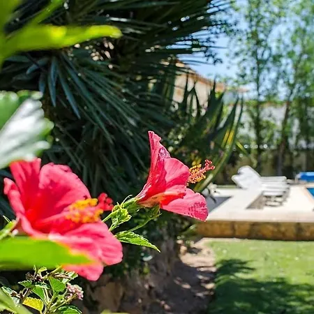 Sleeps 8 With Pool And Air Con Villa